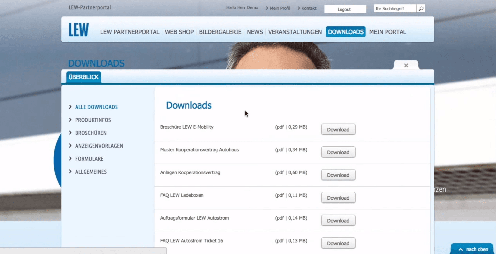 Screenshot des LEW Partnerportals